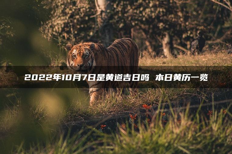 2022年10月7日是黄道吉日吗 本日黄历一览