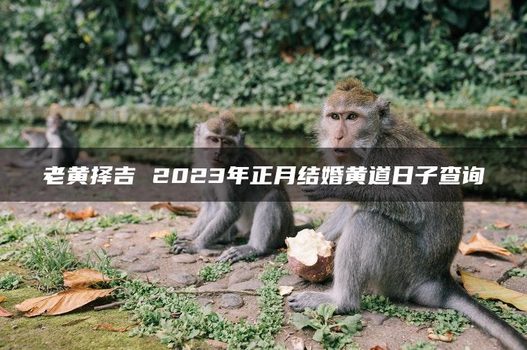 老黄择吉 2023年正月结婚黄道日子查询