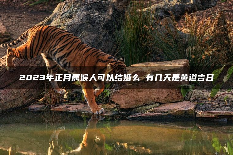 2023年正月属猴人可以结婚么 有几天是黄道吉日