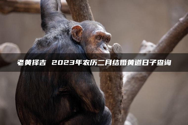 老黄择吉 2023年农历二月结婚黄道日子查询