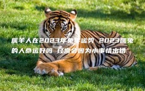 属羊人在2023年兔年运势 2023属兔的人命运好吗 经常会因为小事情出错