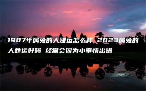 1987年属兔的人赌运怎么样 2023属兔的人命运好吗 经常会因为小事情出错