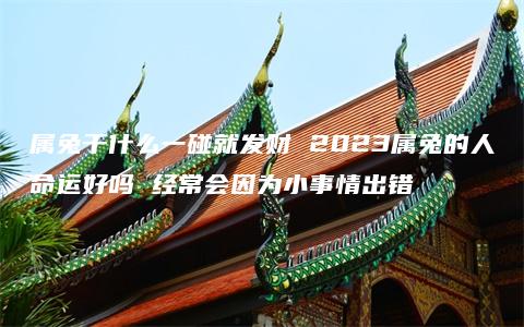 属兔干什么一碰就发财 2023属兔的人命运好吗 经常会因为小事情出错