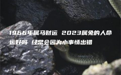 1966年属马财运 2023属兔的人命运好吗 经常会因为小事情出错