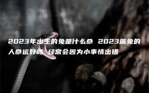 2023年出生的兔是什么命 2023属兔的人命运好吗 经常会因为小事情出错