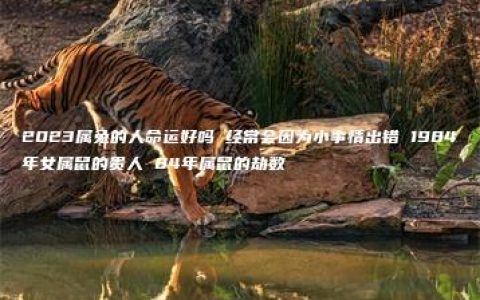 2023属兔的人命运好吗 经常会因为小事情出错 1984年女属鼠的贵人 84年属鼠的劫数
