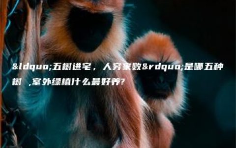 “五树进宅，人穷家败”是哪五种树 ,室外绿植什么最好养?