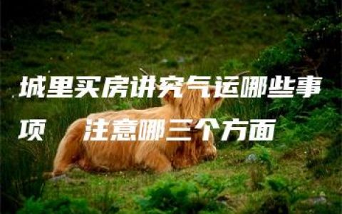 城里买房讲究气运哪些事项  注意哪三个方面