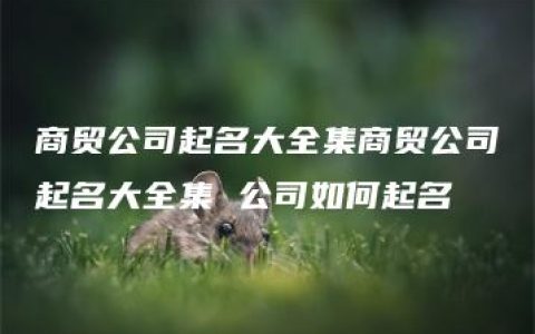 商贸公司起名大全集商贸公司起名大全集 公司如何起名