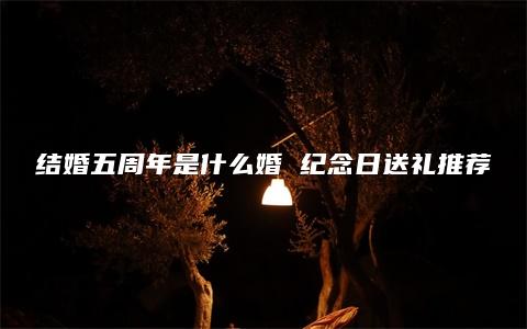 结婚五周年是什么婚 纪念日送礼推荐