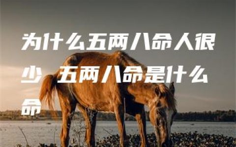 为什么五两八命人很少 五两八命是什么命