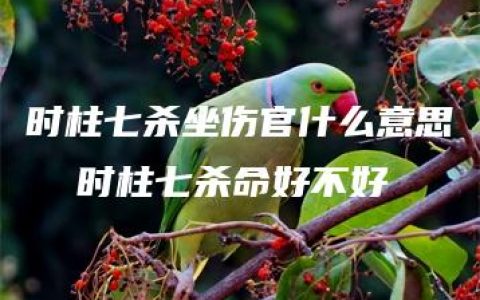 时柱七杀坐伤官什么意思  时柱七杀命好不好