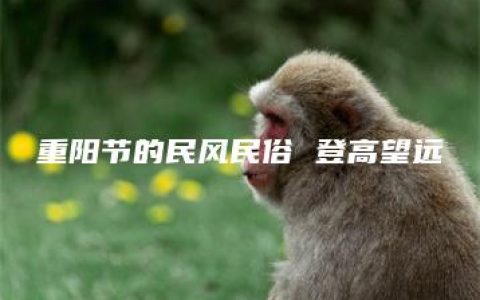 重阳节的民风民俗 登高望远