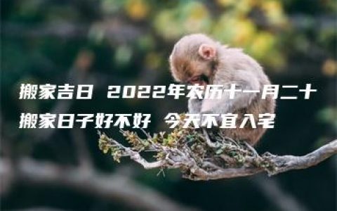 搬家吉日 2022年农历十一月二十搬家日子好不好 今天不宜入宅