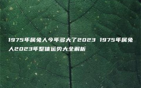 1975年属兔人今年多大了2023 1975年属兔人2023年整体运势大全解析