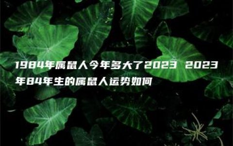 1984年属鼠人今年多大了2023 2023年84年生的属鼠人运势如何