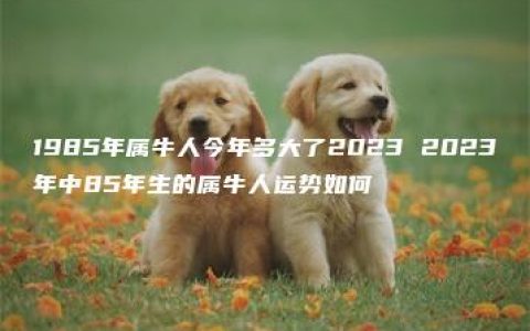 1985年属牛人今年多大了2023 2023年中85年生的属牛人运势如何