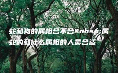 蛇和狗的属相合不合 属蛇的和什么属相的人最合适