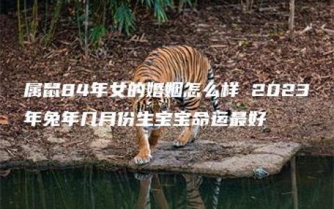 属鼠84年女的婚姻怎么样 2023年兔年几月份生宝宝命运最好