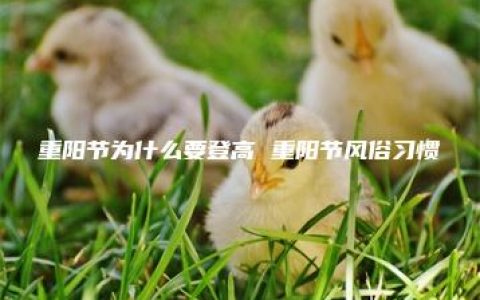 重阳节为什么要登高 重阳节风俗习惯