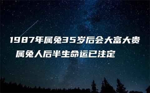 1987年属兔35岁后会大富大贵 属兔人后半生命运已注定