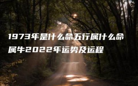 1973年是什么命五行属什么命 属牛2022年运势及运程