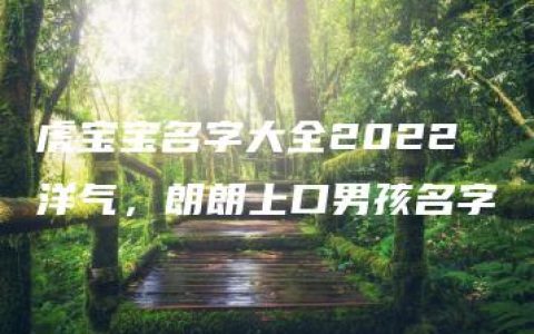 虎宝宝名字大全2022洋气，朗朗上口男孩名字