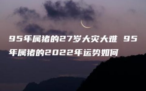 95年属猪的27岁大灾大难 95年属猪的2022年运势如何