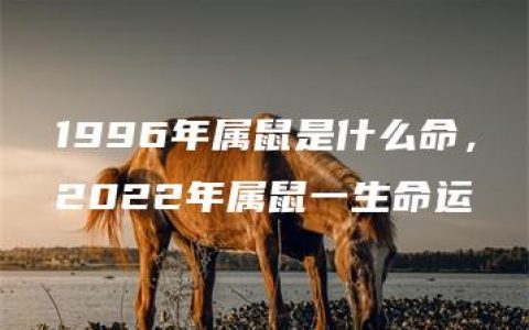 1996年属鼠是什么命，2022年属鼠一生命运