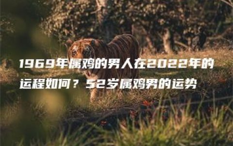 1969年属鸡的男人在2022年的运程如何？52岁属鸡男的运势