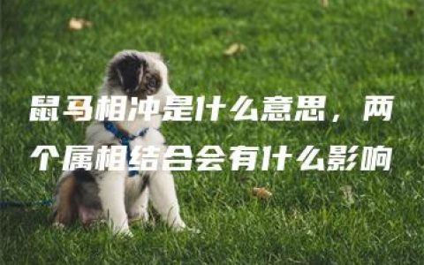 鼠马相冲是什么意思，两个属相结合会有什么影响