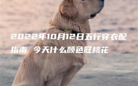 2022年10月12日五行穿衣配指南 今天什么颜色旺桃花