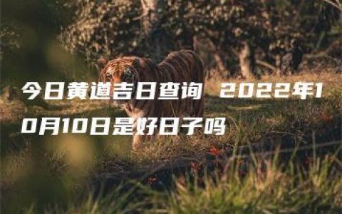 今日黄道吉日查询 2022年10月10日是好日子吗