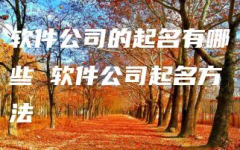 软件公司的起名有哪些 软件公司起名方法