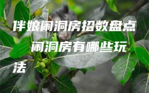 伴娘闹洞房招数盘点  闹洞房有哪些玩法