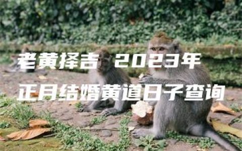 老黄择吉 2023年正月结婚黄道日子查询