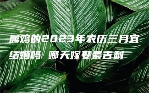 属鸡的2023年农历三月宜结婚吗 哪天嫁娶最吉利