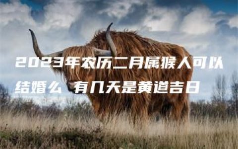 2023年农历二月属猴人可以结婚么 有几天是黄道吉日