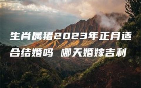 生肖属猪2023年正月适合结婚吗 哪天婚嫁吉利