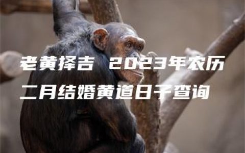 老黄择吉 2023年农历二月结婚黄道日子查询