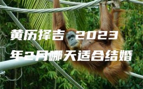 黄历择吉 2023年2月哪天适合结婚