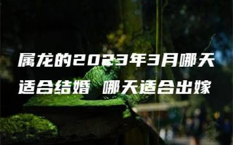 属龙的2023年3月哪天适合结婚 哪天适合出嫁