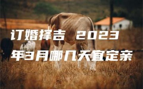 订婚择吉 2023年3月哪几天宜定亲