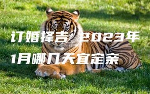 订婚择吉 2023年1月哪几天宜定亲