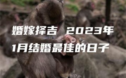 婚嫁择吉 2023年1月结婚最佳的日子