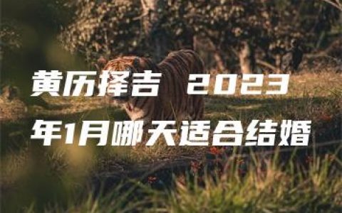 黄历择吉 2023年1月哪天适合结婚