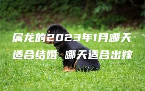 属龙的2023年1月哪天适合结婚 哪天适合出嫁