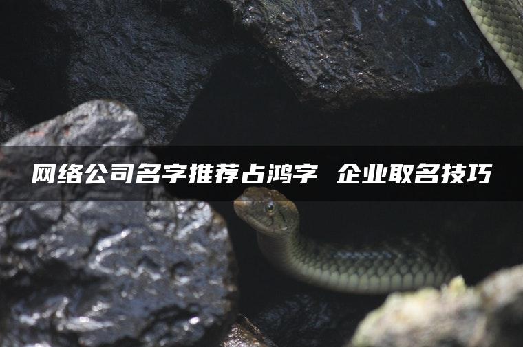 网络公司名字推荐占鸿字 企业取名技巧