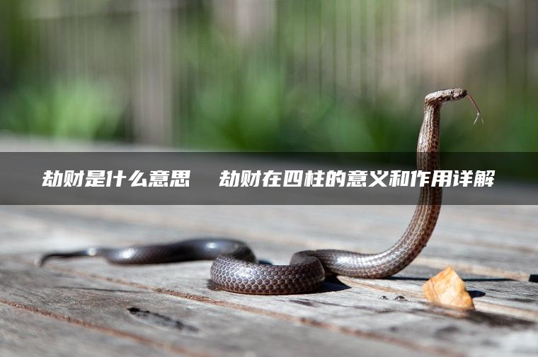 劫财是什么意思  劫财在四柱的意义和作用详解