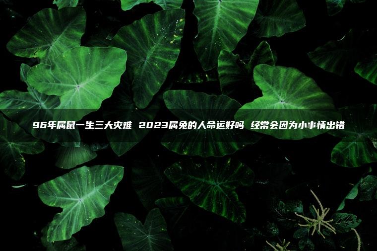 96年属鼠一生三大灾难 2023属兔的人命运好吗 经常会因为小事情出错